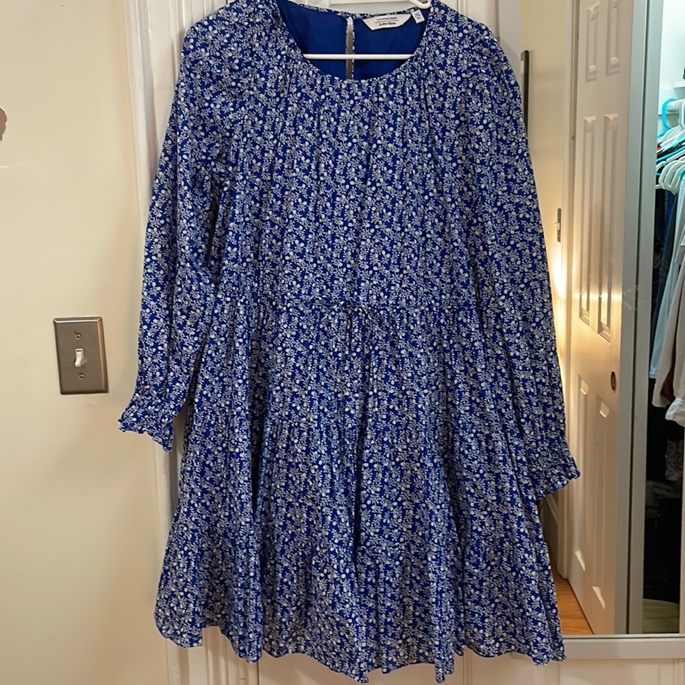 & Other Stories blue floral dress